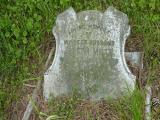 image of grave number 119510